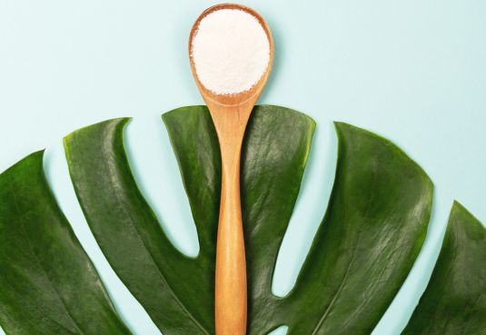 collagen protein bars